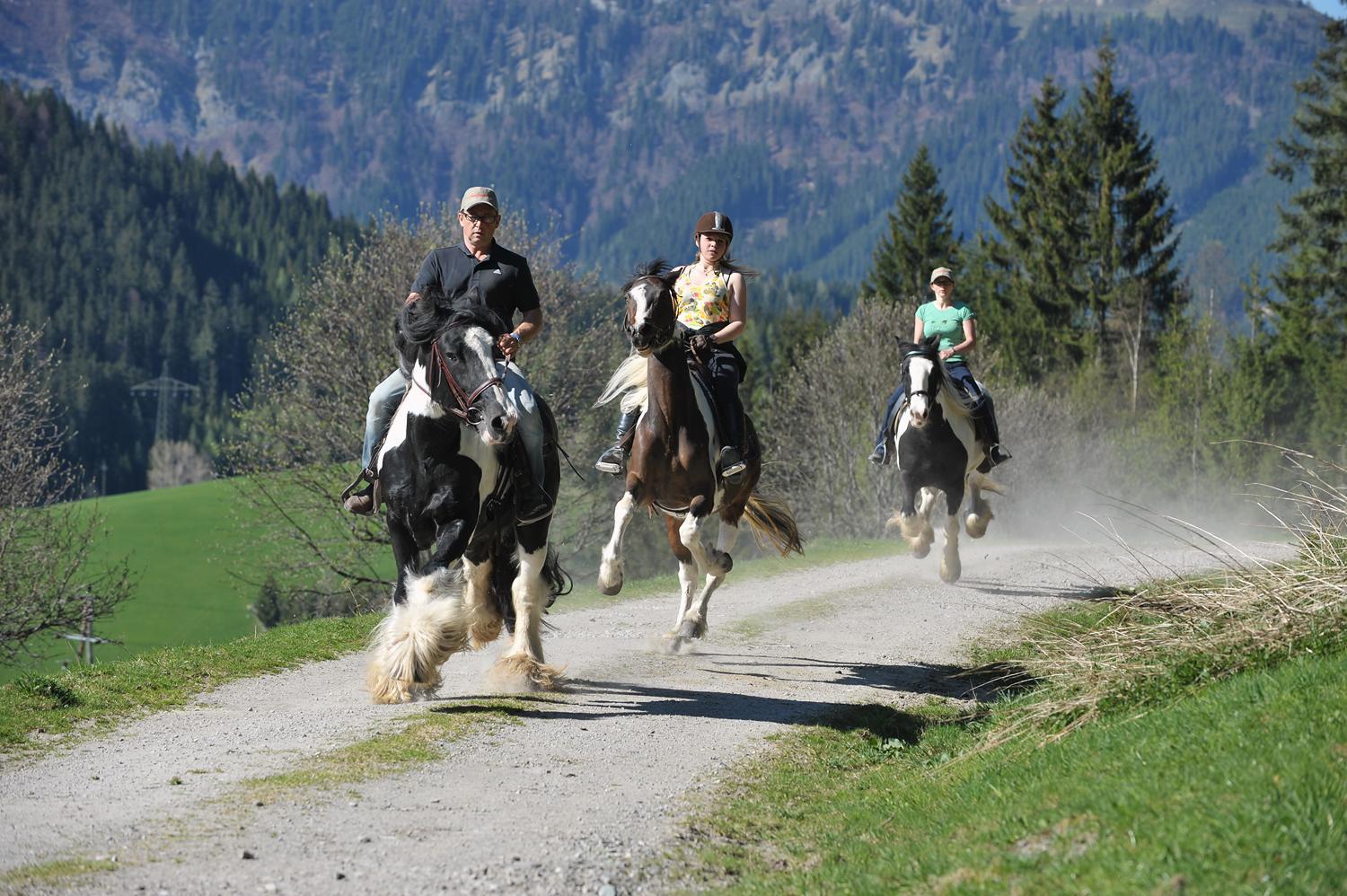 Landhotel Anna Sankt Martin am Tennengebirge Buitenkant foto
